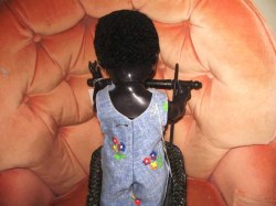 black pedigree 16 b